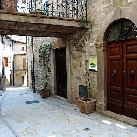 Il Fico Nel Borgo *